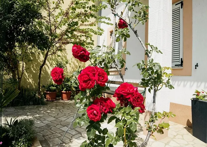 Apartment 5206a Selce