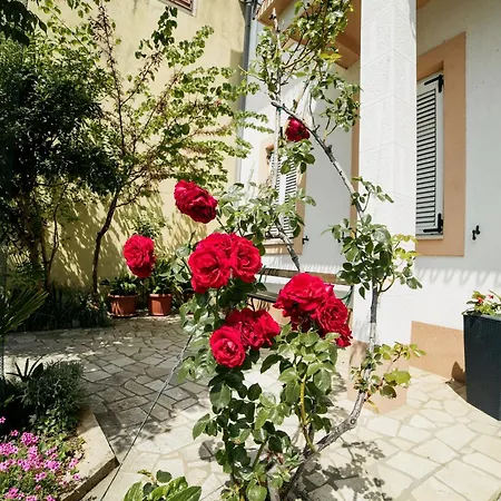 Apartment 5206a Selce